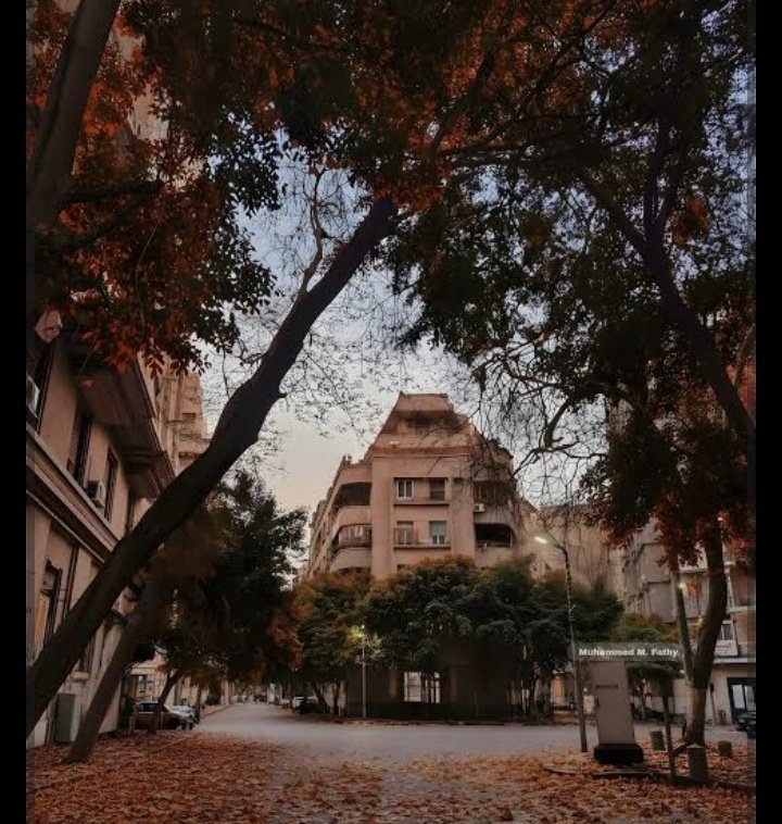 Screenshot_20251018_100147