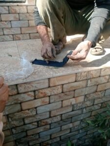 حملة المقابر