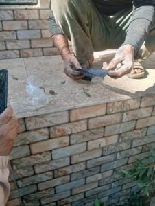 حملة المقابر