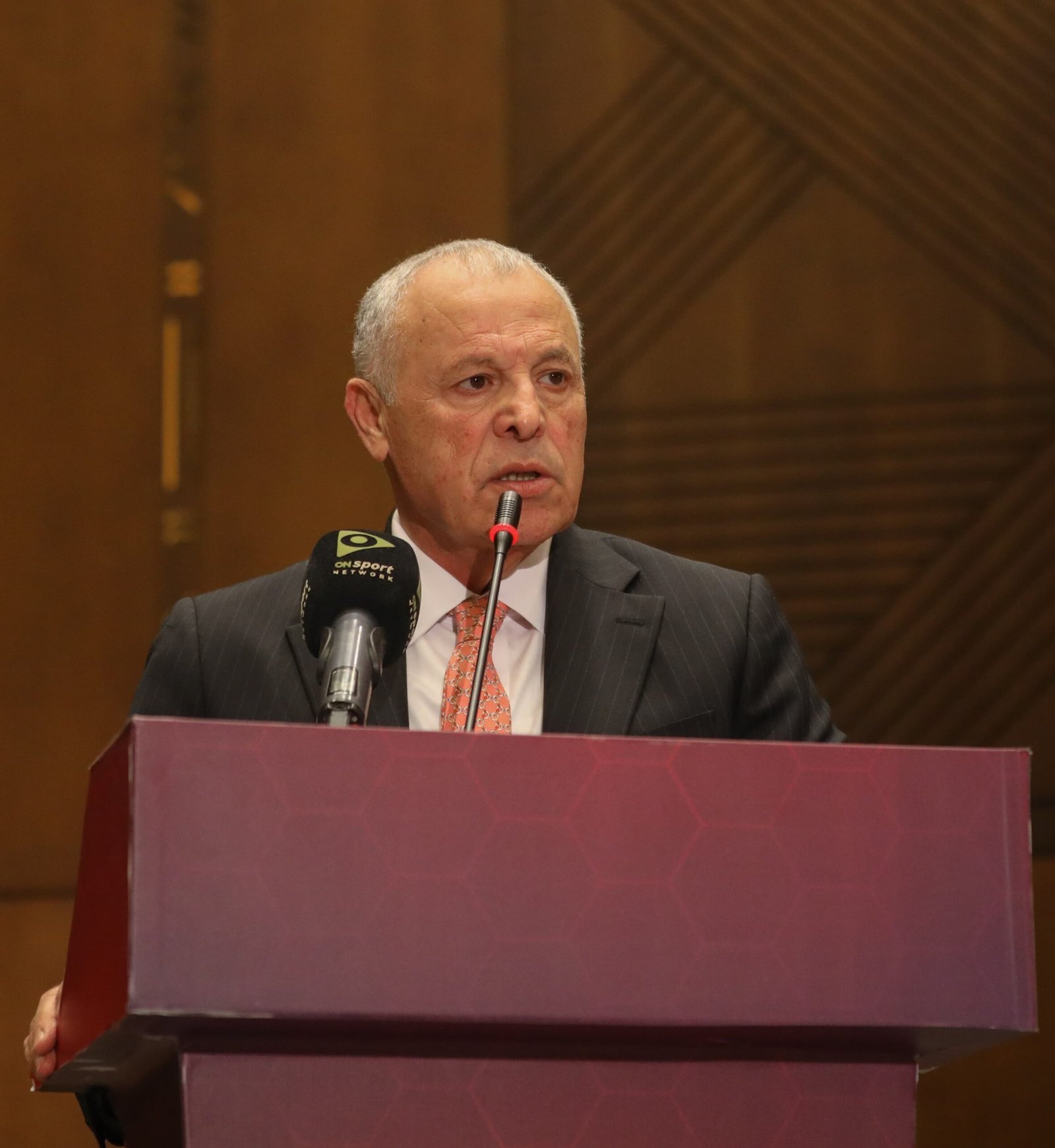 هاني أبو ريدة