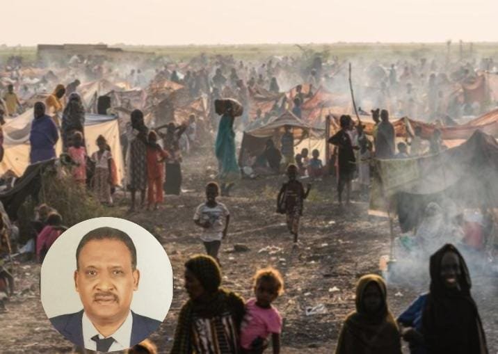 بشري حامد الأمين العام السابق للبيئة بالخرطوم