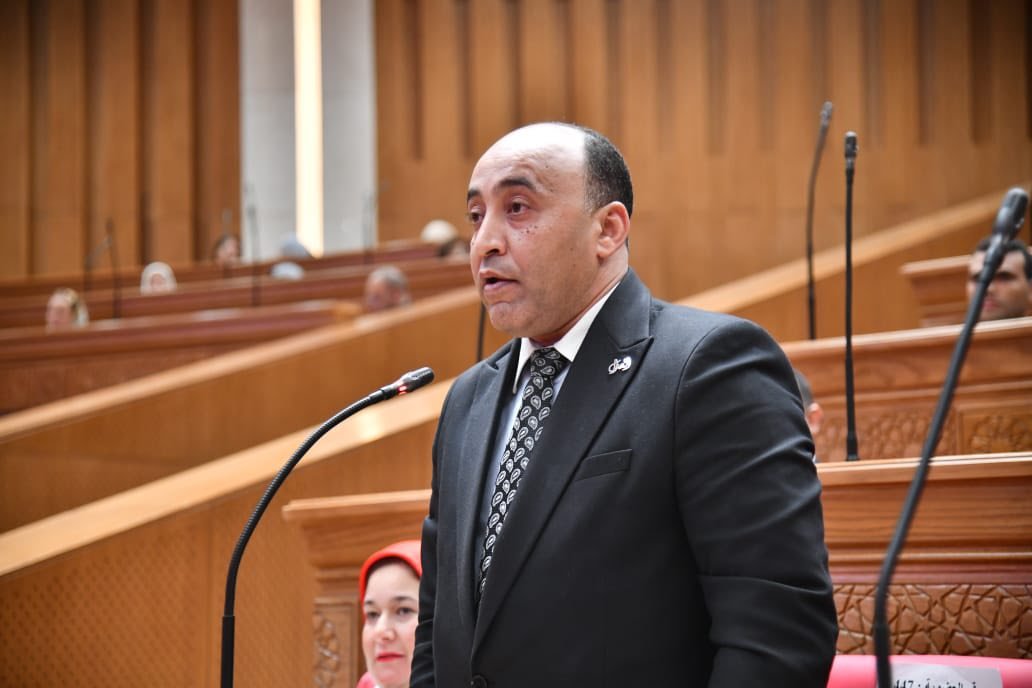 النائب حسام حسن