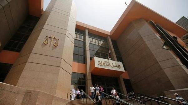 مجلس الدولة