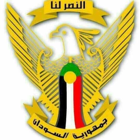 images - 2026-02-12T215656