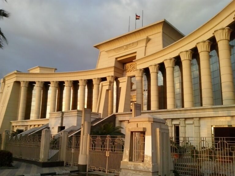 الدستورية العليا