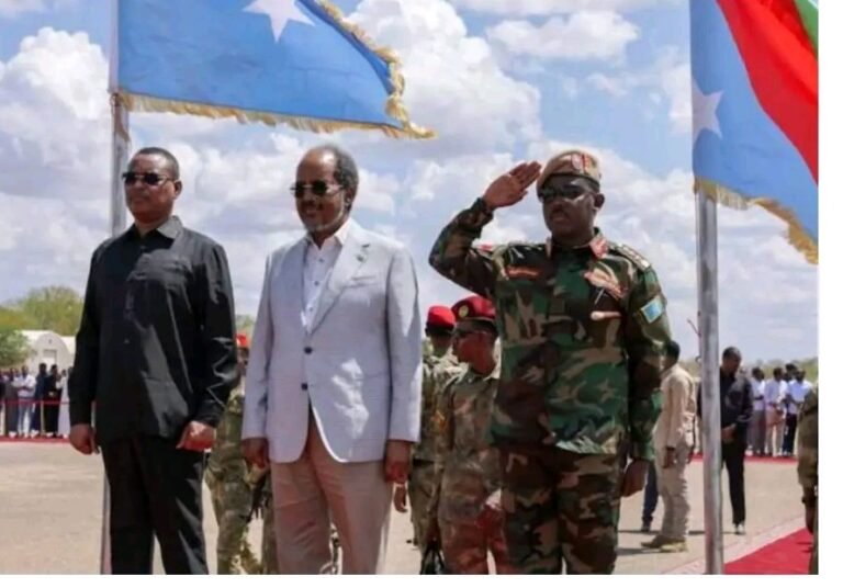 الرئيس الصومالي