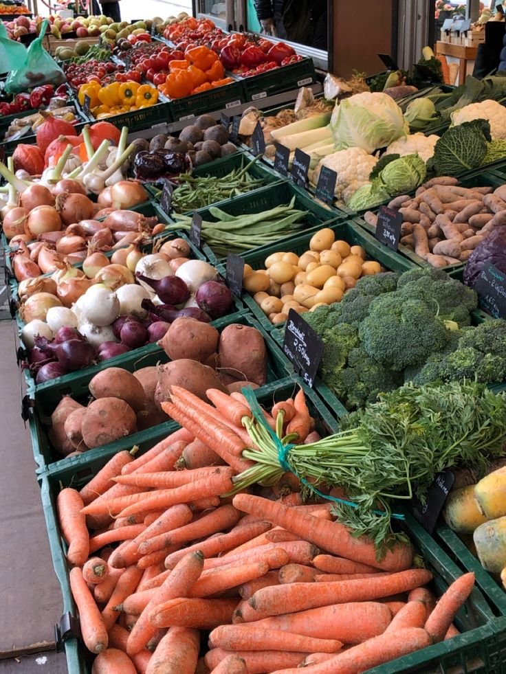 ae607f62757a1587324c5fb884aae268