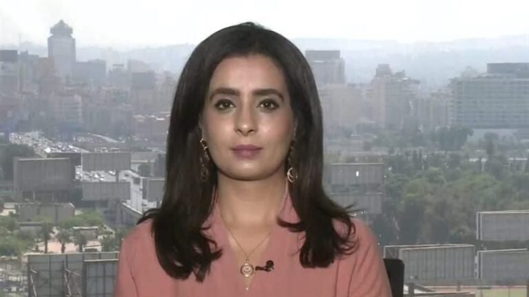 المحللة السياسية هند الضاوي