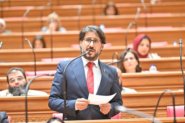 أحمد بلال البرلسي