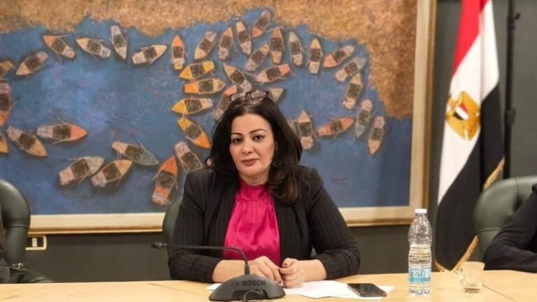 إيمان عوف عضو مجلس نقابة الصحفيين