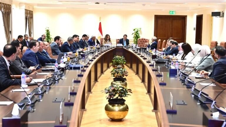 المجالس المحلية