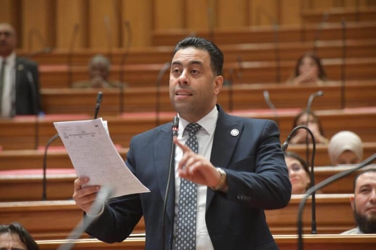 النائب أحمد فرغلي