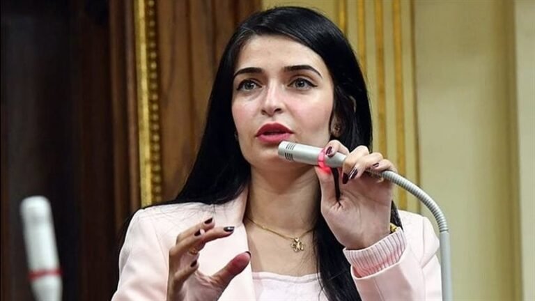 إيرين سعيدرئيس الهيئة البرلمانية لحزب الإصلاح والتنمية